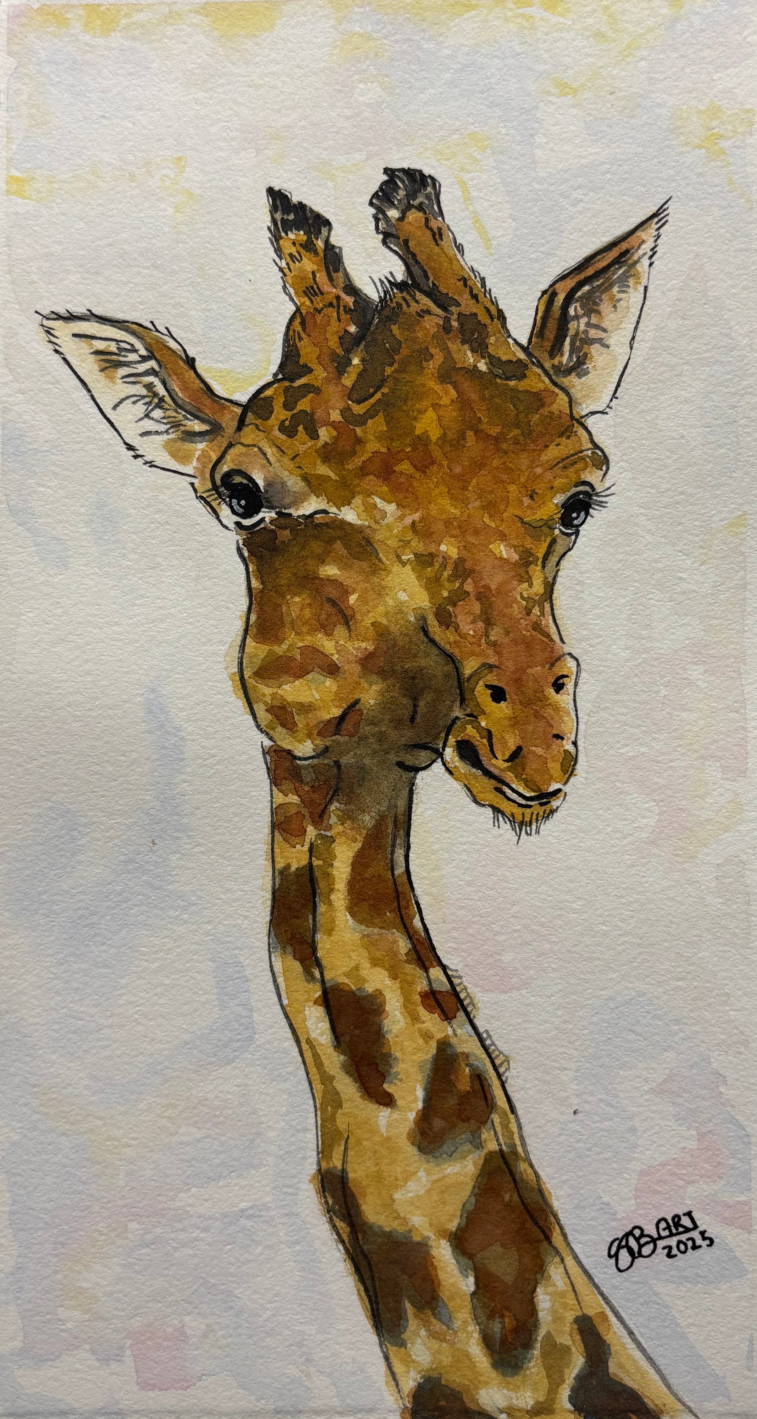 Giraffen Douglas